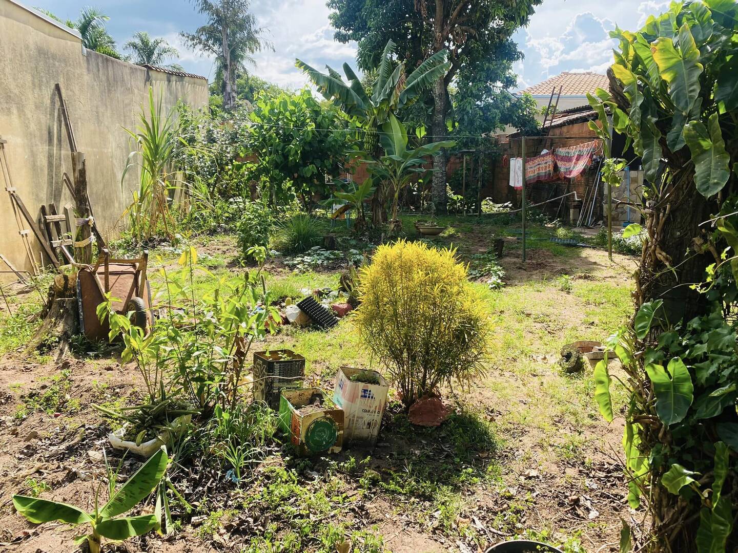 #274 - Área para Venda em Brotas - SP