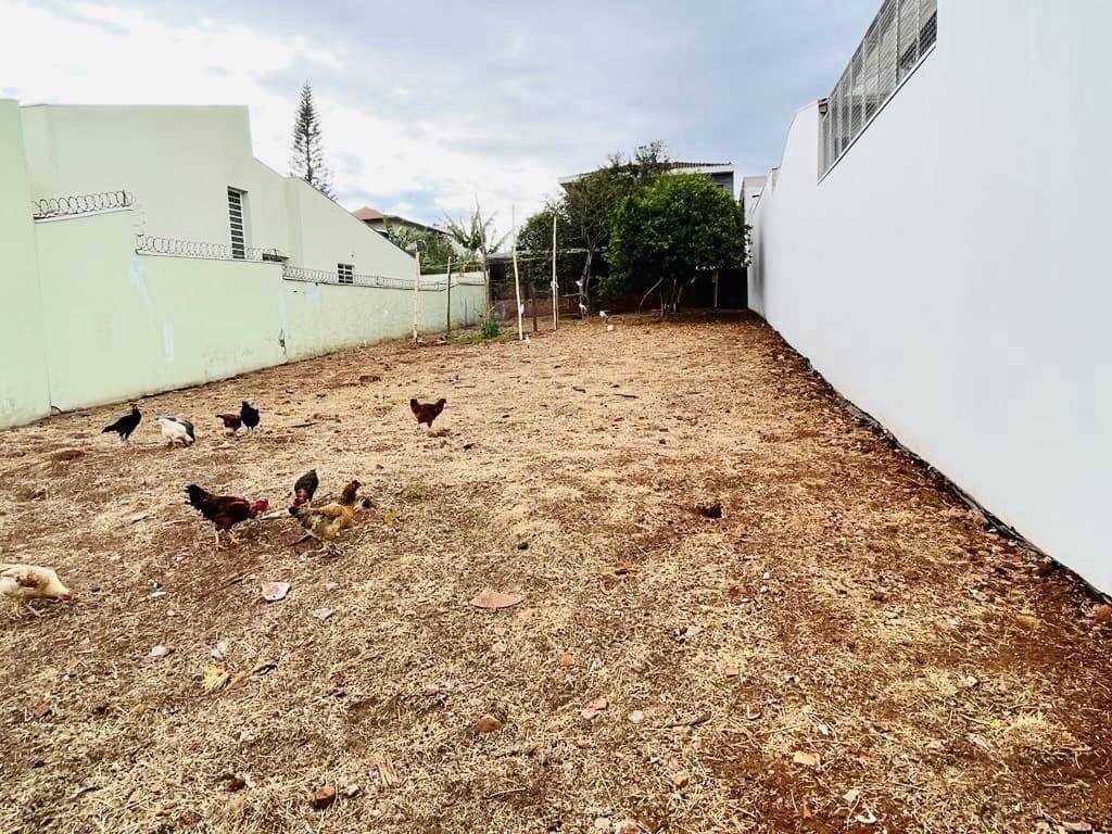 #293 - Área para Venda em São Carlos - SP