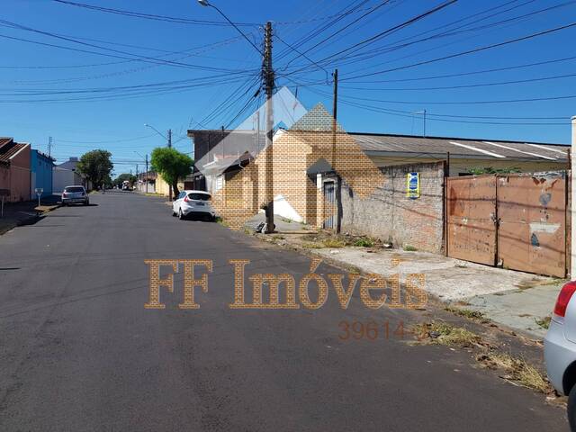 Área para Venda em São Carlos - 4