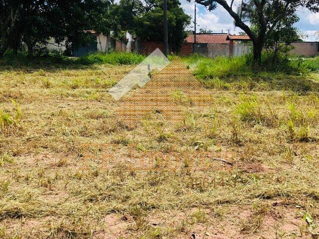 #141 - Área para Venda em Brotas - SP - 3