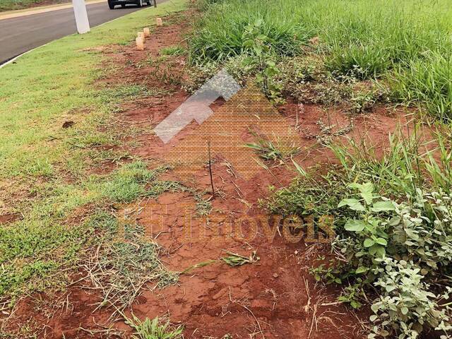 Área para Venda em São Carlos - 5