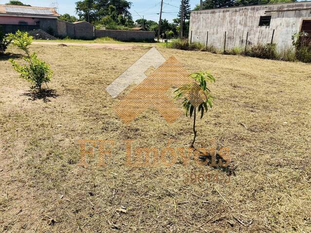 Terreno para Venda em Brotas - 4