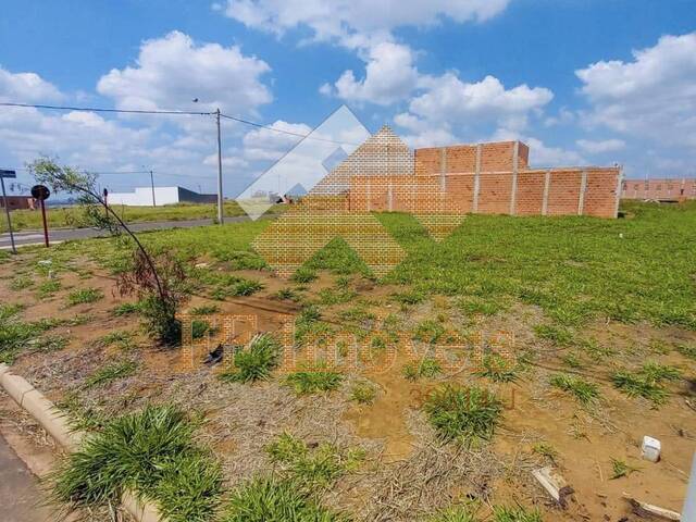 Área para Venda em São Carlos - 3