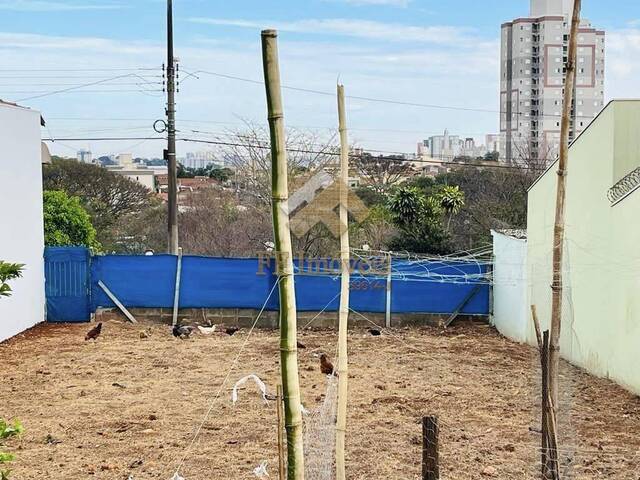 Área para Venda em São Carlos - 3