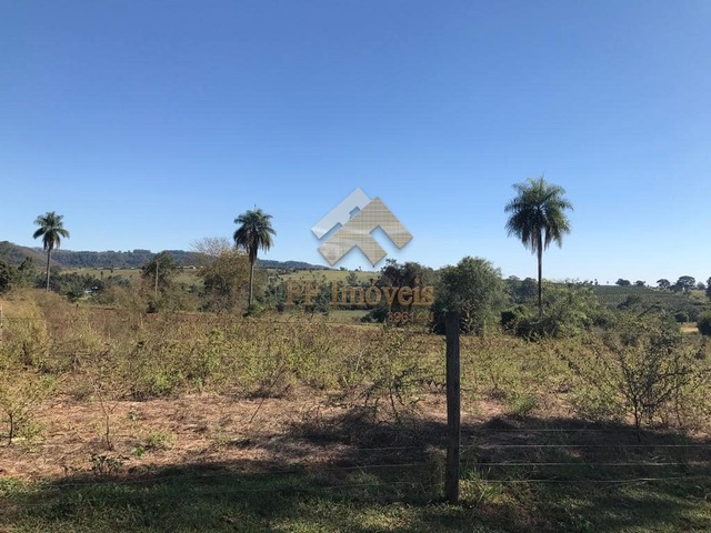 #295 - Sítio para Venda em Brotas - SP - 3