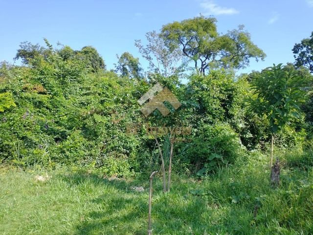 Sítio para Venda em São Carlos - 4