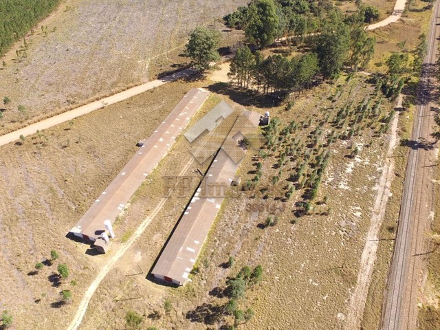  para  em  - 4
