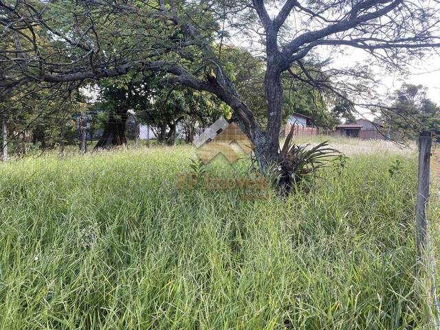 Área para Venda em Brotas - 5