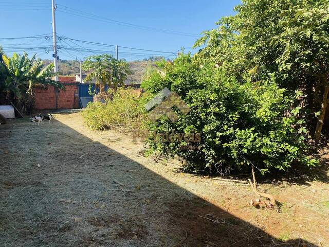 #319 - Área para Venda em São Carlos - SP - 1