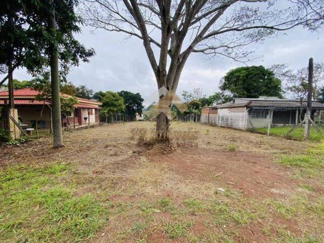 #381 - Terreno para Venda em Brotas - SP - 1