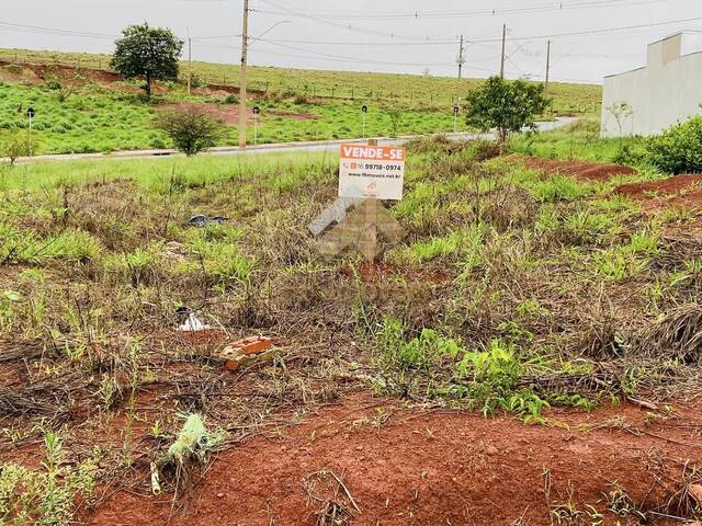 #395 - Terreno para Venda em São Carlos - SP - 1