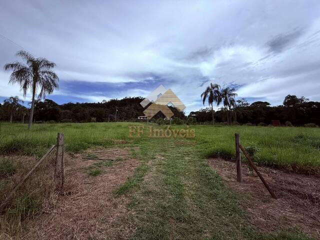 #402 - Sítio para Venda em São Carlos - SP - 3