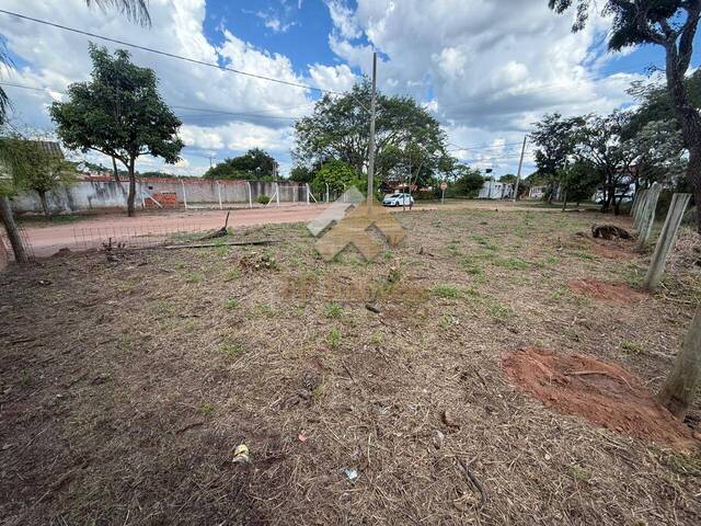 #199 - Área para Venda em Brotas - SP - 3