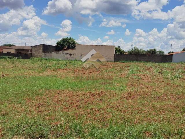#415 - Área para Venda em Guatapará - SP - 1