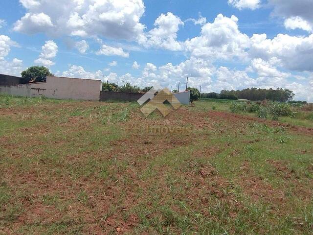#415 - Área para Venda em Guatapará - SP - 3