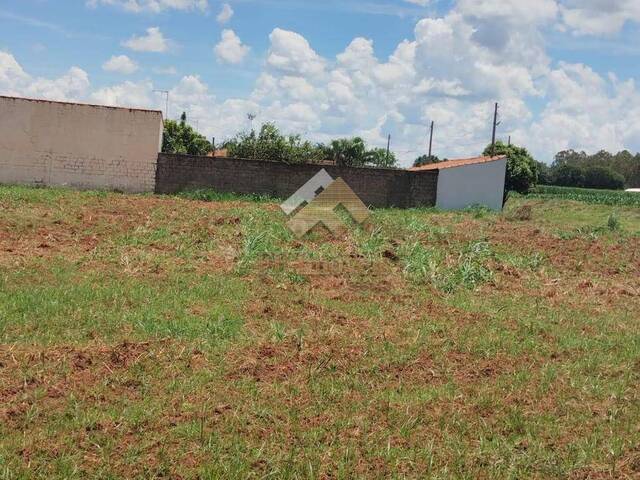 #415 - Área para Venda em Guatapará - SP - 2