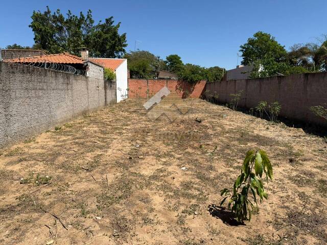 #450 - Área para Venda em Brotas - SP - 3