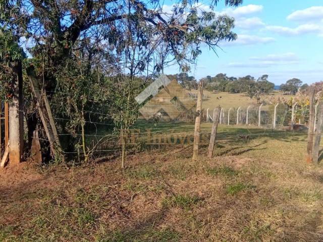 #467 - Área para Venda em Brotas - SP - 3