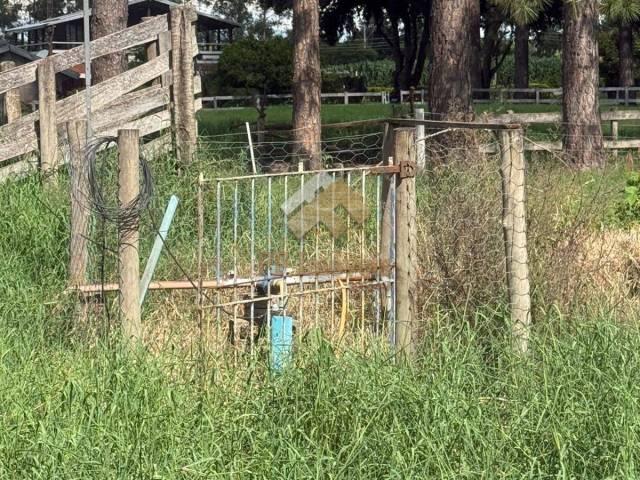 #470 - Chácara para Venda em São Carlos - SP - 3