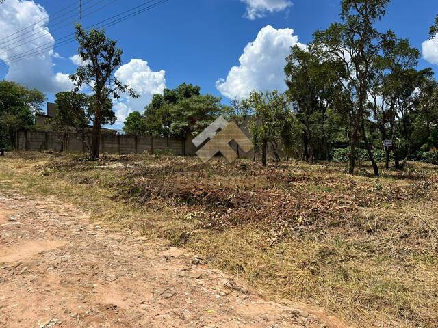 #472 - Área para Venda em Brotas - SP - 3