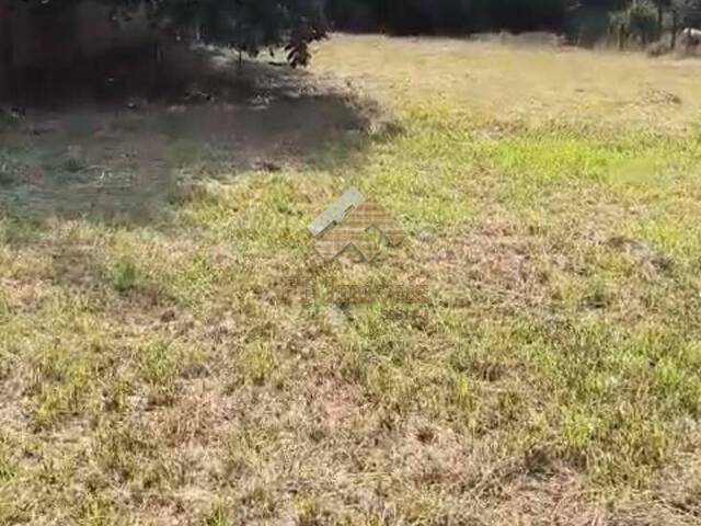 #479 - Área para Venda em Brotas - SP - 2