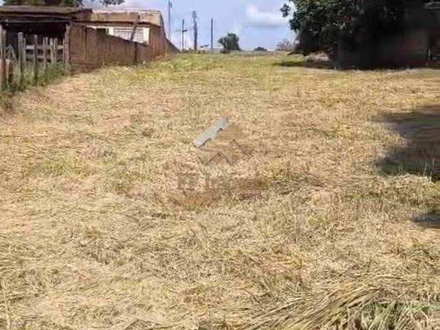 #479 - Área para Venda em Brotas - SP - 3