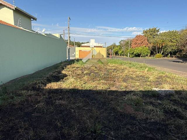 #501 - Área para Venda em São Carlos - SP - 3