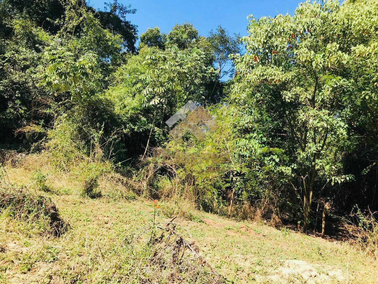 Terreno à venda, 50827m² - Foto 7