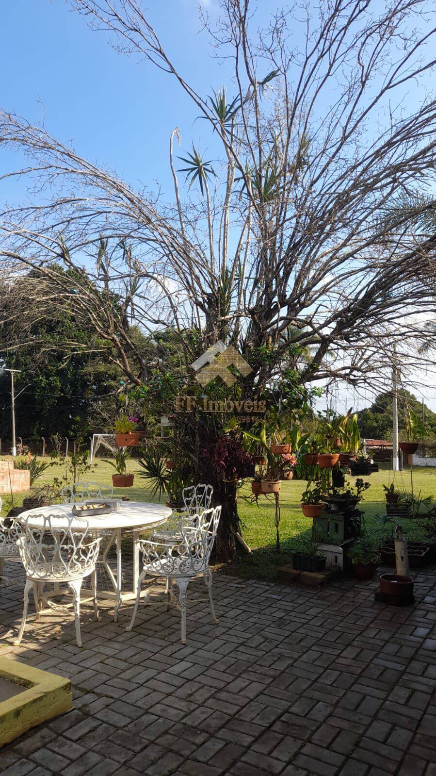 Casa à venda com 3 quartos, 5600m² - Foto 5