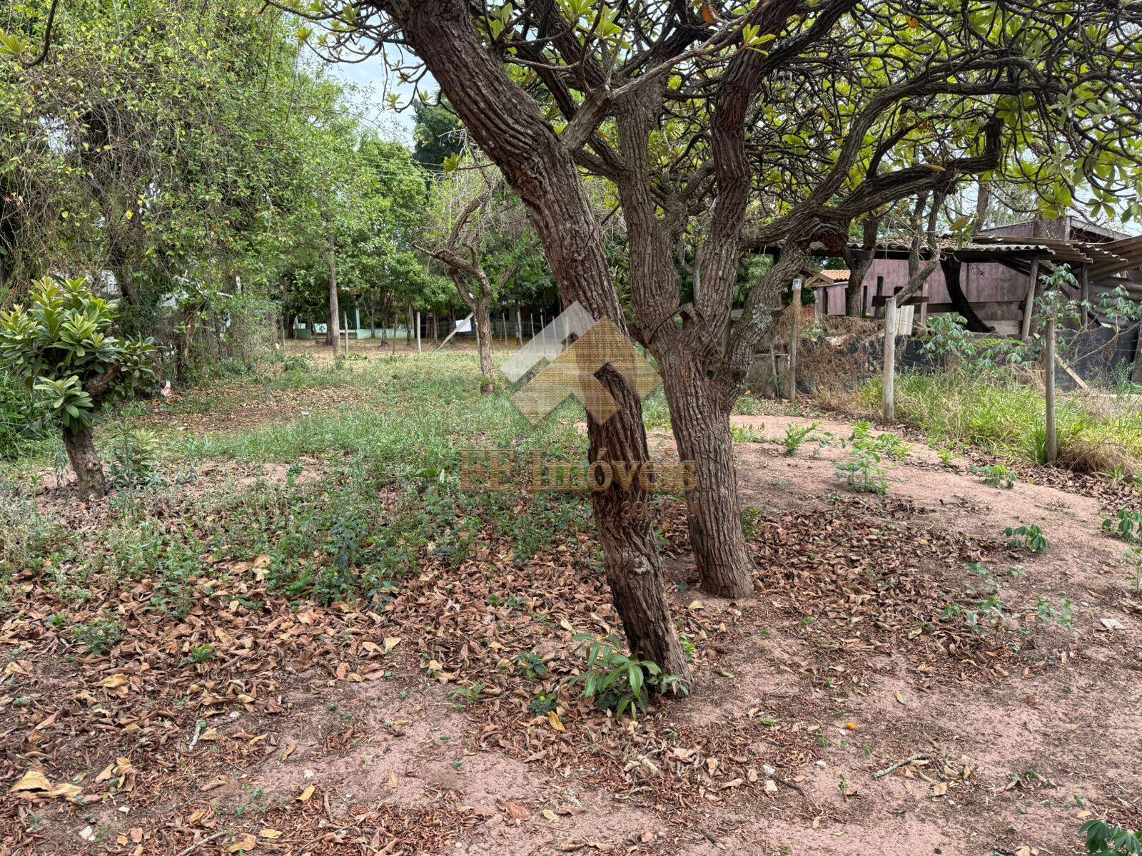 Terreno, 300 m² - Foto 5