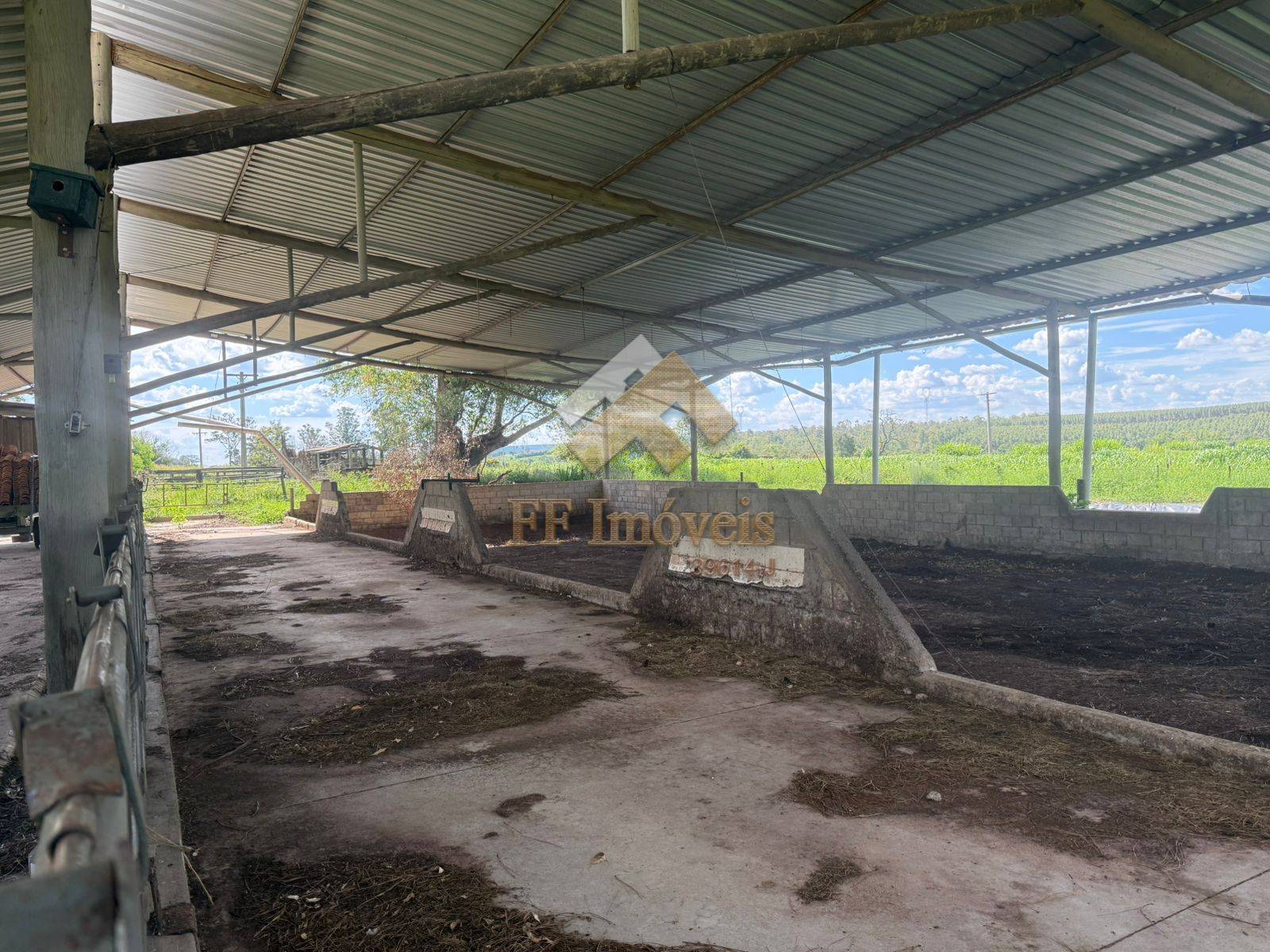 Sítio, 5 quartos, 5 m² - Foto 2