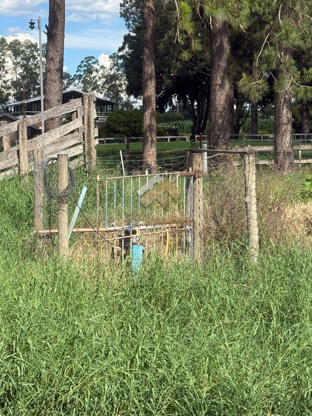 Sítio, 5 quartos, 5 m² - Foto 3