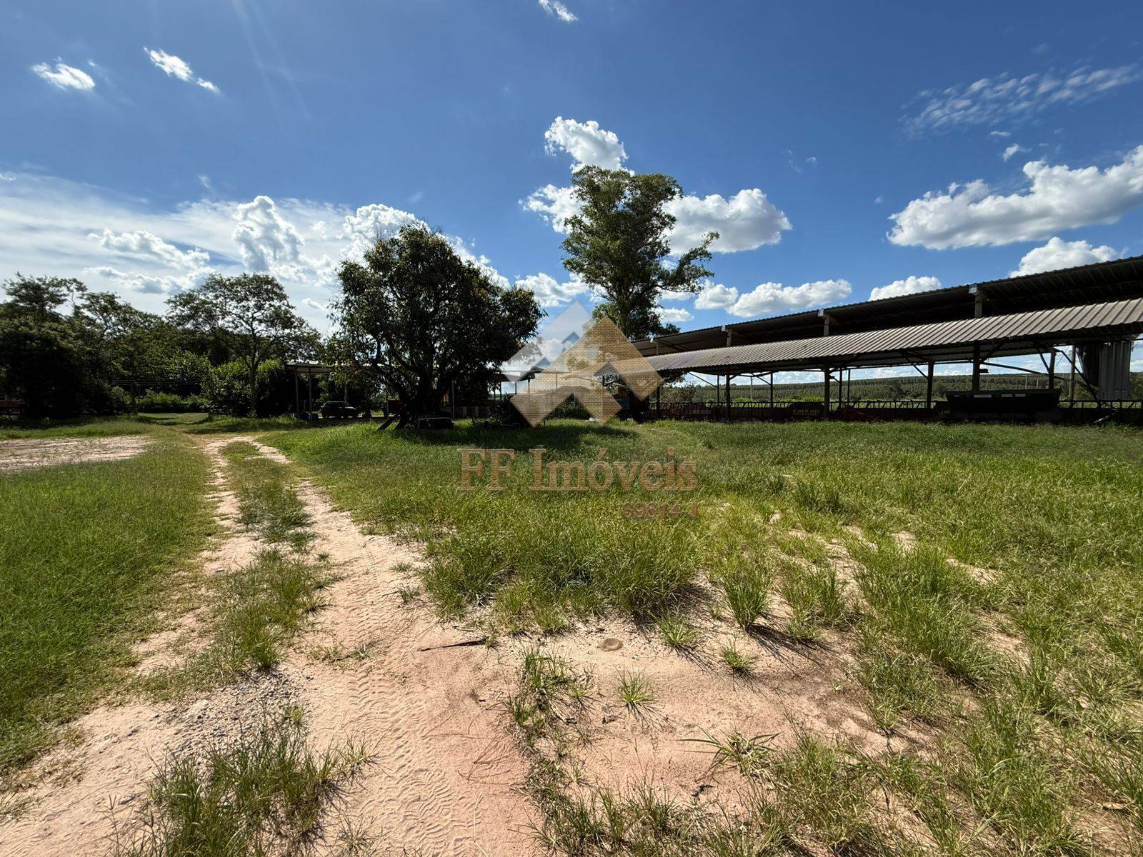 Sítio, 5 quartos, 5 m² - Foto 1