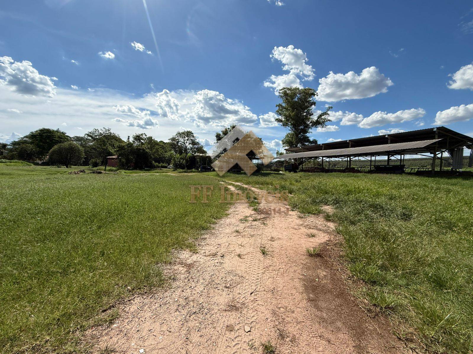 Sítio, 5 quartos, 5 m² - Foto 4